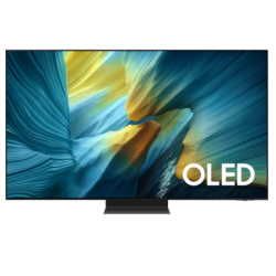 OLED SAMSUNG - TQ65S95FATXXC